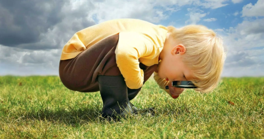 Reggio Emilia Childcare Centres | Nature-Based Learning in the Reggio Emilia Approach – Why It Works