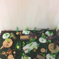 Reggio Emilia Childcare Centres | Chapter 1 – Parenting Toys